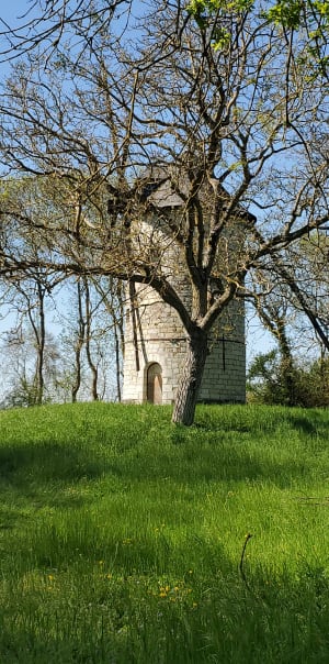 Petit tour des Coins autour de Loire-Authion - Estelle - 4