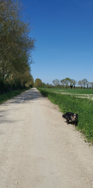Petit tour des Coins autour de Loire-Authion - Estelle - 5