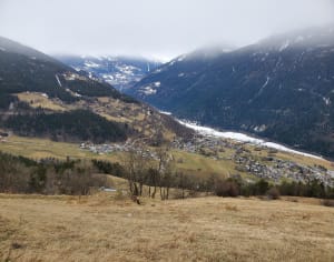 Bourg-Saint-Maurice : trip de folie autour du bois des Bochères - Bourg-Saint-Maurice - 5