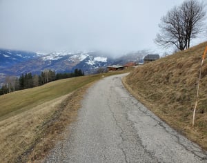 Bourg-Saint-Maurice : trip de folie autour du bois des Bochères - Bourg-Saint-Maurice - 6