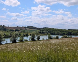 Grateloup, randonnée vers Saint-Gayrand - Grateloup-Saint-Gayrand - 4