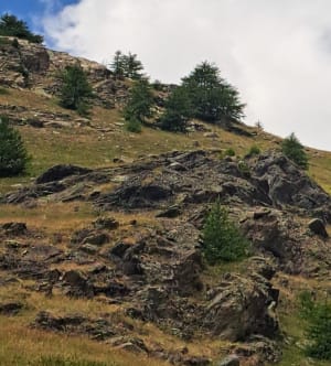 A la rencontre des marmottes - Montgenèvre - Montgenèvre - 15