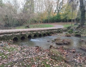La chapelle de Pise - Quissac - 36