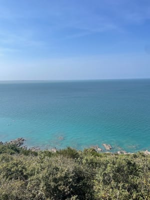 Promenade dans la vallée du Lude - Carolles - 10