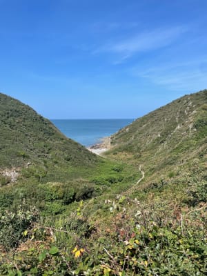 Promenade dans la vallée du Lude - Carolles - 11