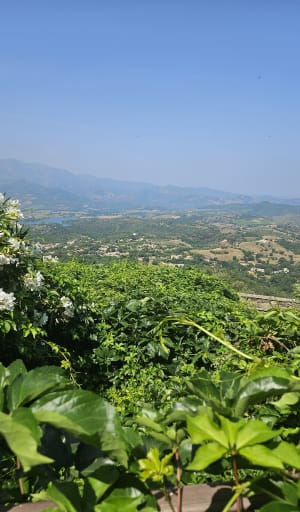Randonnée en famille autour d'Oletta - Poggio-d'Oletta - 16