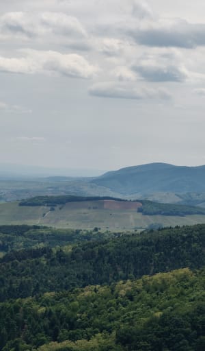 Tour des châteaux, Ribeauvillé et alentours - Hunawihr - 4