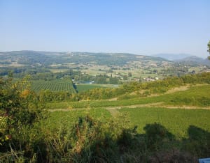 Excursion sur les hauteurs de Lucey - Thomas - 6