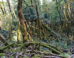 Excursion sur les hauteurs de Lucey - Thomas - 7