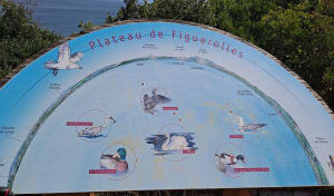 Déconnexion totale autour du parc de Figuerolles - Martigues - 36