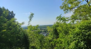Sentier minier de Sentheim - Sentheim - 10