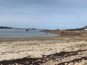 Ronde van de Pointe de Primel in PLOUGASNOU. - Plougasnou - 17