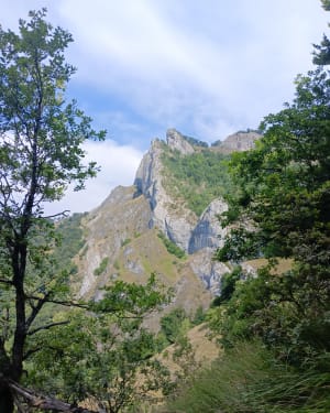Pic du Gar au départ de Bézins - Bezins-Garraux - 7
