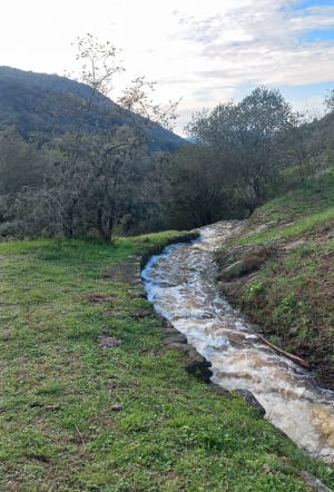 Tour du Lac de l'Avellan - Les-Adrets-de-l'Esterel - 22