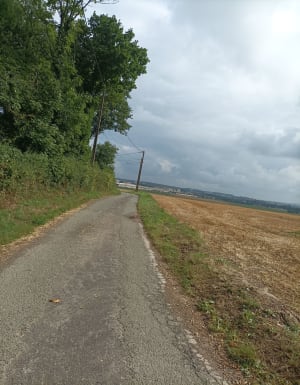 Belle balade Blendecques Heuringhem par les landes - Delphine - 4