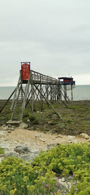 Rondleiding op Île Madame en leuke ervaring op de Passe aux Bœufs - Saint-Nazaire-sur-Charente - 3