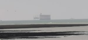 Rondleiding op Île Madame en leuke ervaring op de Passe aux Bœufs - Saint-Nazaire-sur-Charente - 4