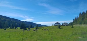 Lac de Bellefontaine et sur les pas des passeurs par les GR® - Chapelle-des-Bois - 15