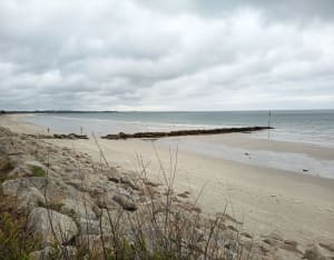 Tour l'île Tudy - Île-Tudy - 23