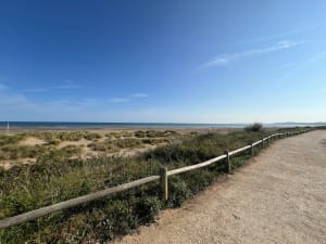 Découverte du territoire entre Merville et Sallenelles - Merville-Franceville-Plage - 10