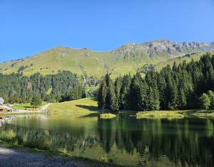 Van Lac des Mines d’Or naar de Col de Coux - Morzine - 22