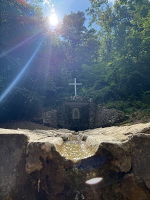 Notre-Dame d'Étang et forêt bourguignonne - La Cude - 8