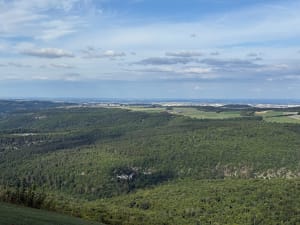 Notre-Dame d'Étang et forêt bourguignonne - La Cude - 9
