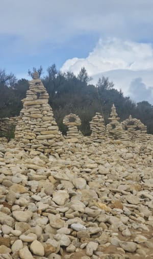 Balade mixte en forêt et bord de mer - Longeville-sur-Mer - 8