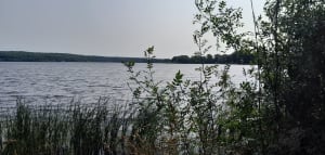 Promenade en bordure du lac de Vioreau - Joué-sur-Erdre - 6