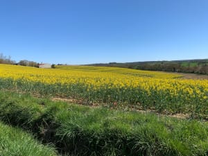 Mirepoix, par le hameau de Tourrens - MARIANNE - 3