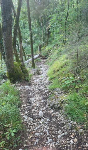Boucle du Moulin de l’étang vers La Croix de Sevrier - Sévrier - 20