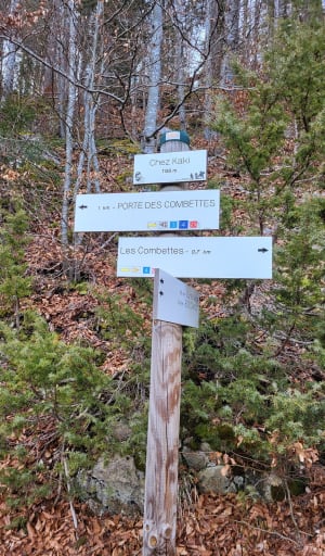 Chalet Gaillard et frontière suisse à raquettes - Bois-d'Amont - 3
