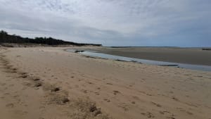 Rando le long de la baie au départ de Berck - Berck - 15