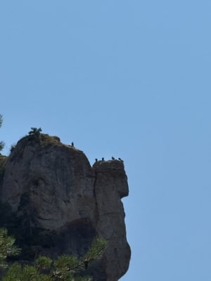 Baus del Biel et sentiers balcon sur le Tarn - Saint-Pierre-des-Tripiers - 17