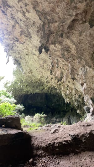 Balade en forêt à l'Aven d'Orgnac - schoum - 18