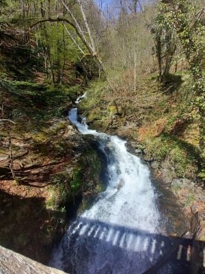 Entre torrent et cascade à Beaudean - Beaudean - 56