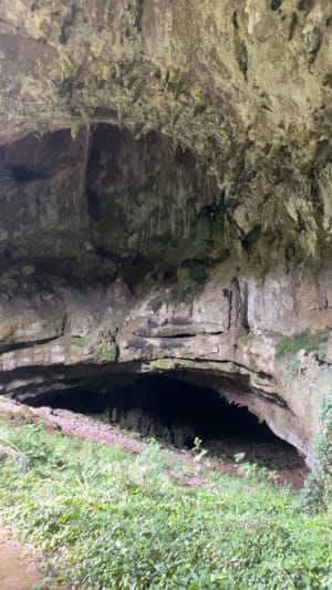 Balade en forêt à l'Aven d'Orgnac - schoum - 19