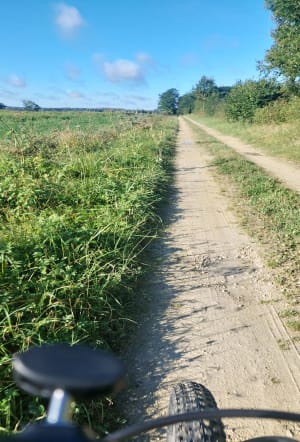 Boucle autour de Saint-Dizier et forêt du Val à vélo - Valcourt - 3