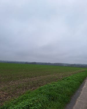 Balade sur les coteaux et les rives du Cher - Savonnières - 5