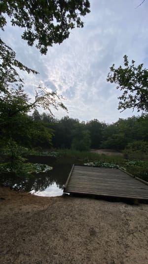 Forêt d’Évreux - Évreux - 6