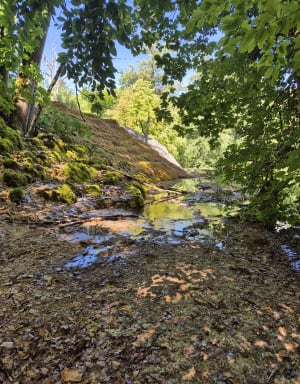 Bref tour du marais de la Tuffière et jolie cacade - Rolampont - 2