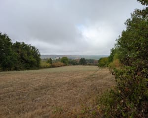 Saint-Martin-de-Villeréal, la balade du moulin de Mandassagne - Charlotte - 2