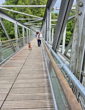 Bord de l'Arve - Veyrier - 6