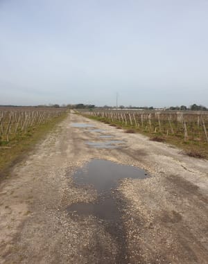 Entre vignes et châteaux autour de Macau - Ludon-Médoc - 7
