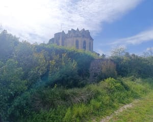 Saint-Georges-d'Orques et trip "5 étoiles" au milieu des vignes - Saint-Georges-d'Orques - 11