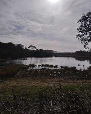 Balade le long du courant d’Huchet - Moliets-et-Maa - 17