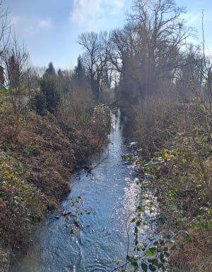 De Cantaing à Marcoing puis le long du canal - Delphine - 15