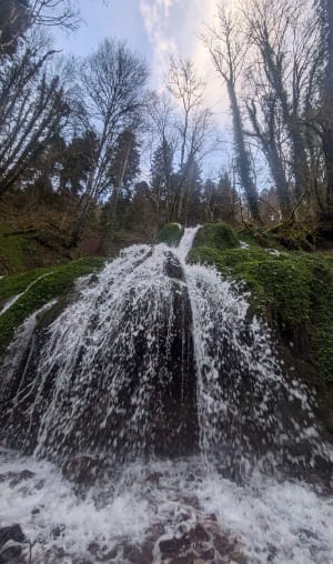 Marche depuis Orgeans-Blanchefontaine - Orgeans-Blanchefontaine - 10