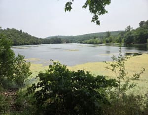 Tour du Lac de Carcès en partant du village - Carcès - 6