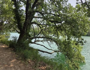 Tour du Lac de Carcès en partant du village - Carcès - 7